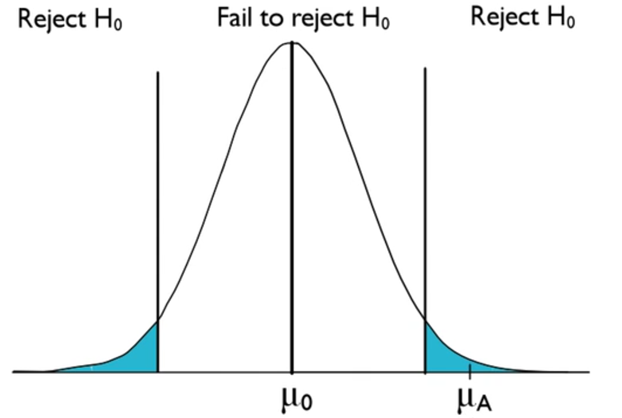 Hypothesis Testing